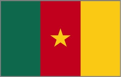 Cameroon Business Visa 