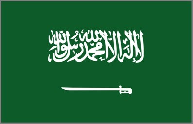 Saudi Arabia Missions & Organisations Visa (non-UK national)